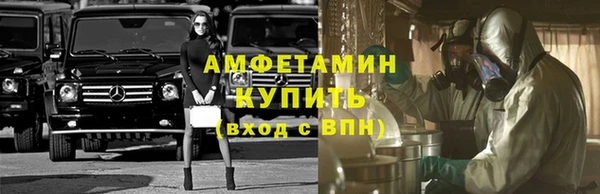 шишки Аркадак