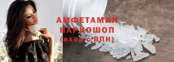 шишки Аркадак
