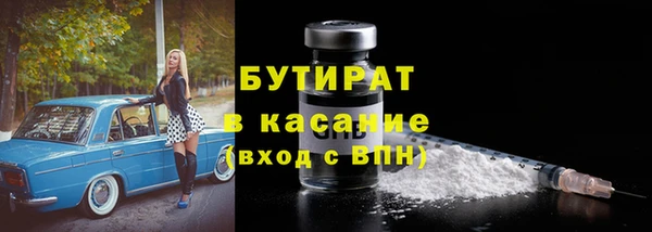 шишки Аркадак