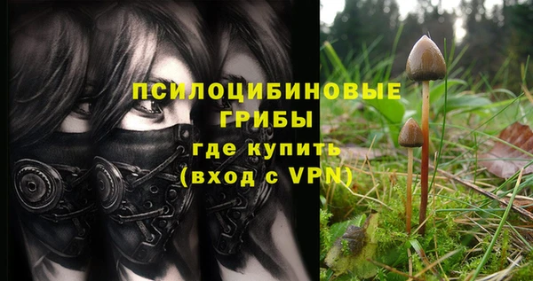 соль ск Арсеньев