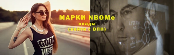 шишки Аркадак