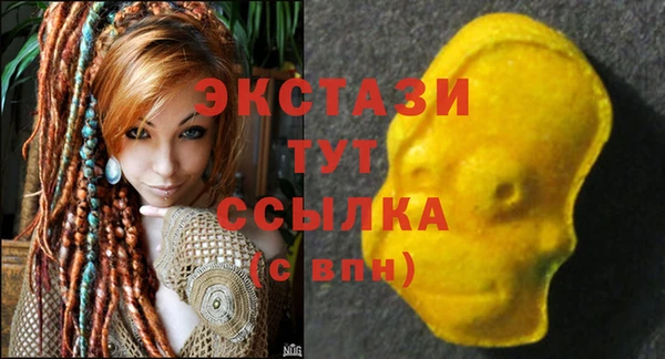 шишки Аркадак
