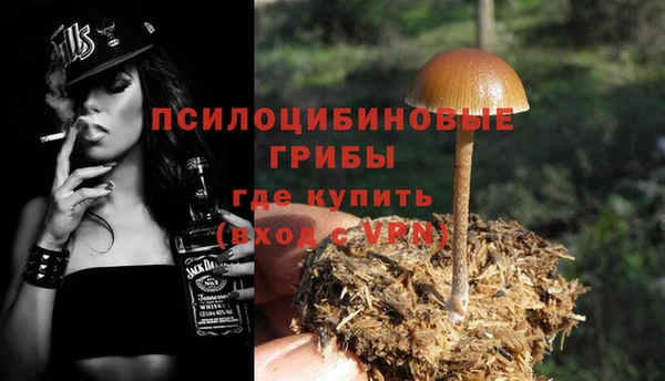 бутират Няндома