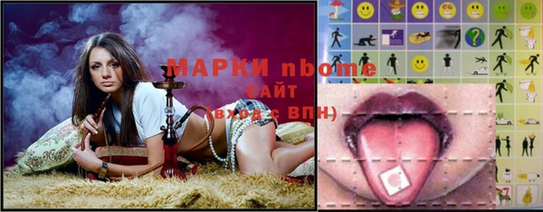 шишки Аркадак