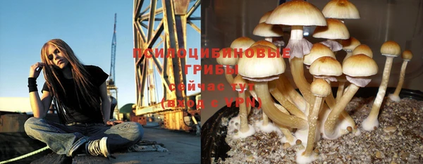 МДПВ Армянск